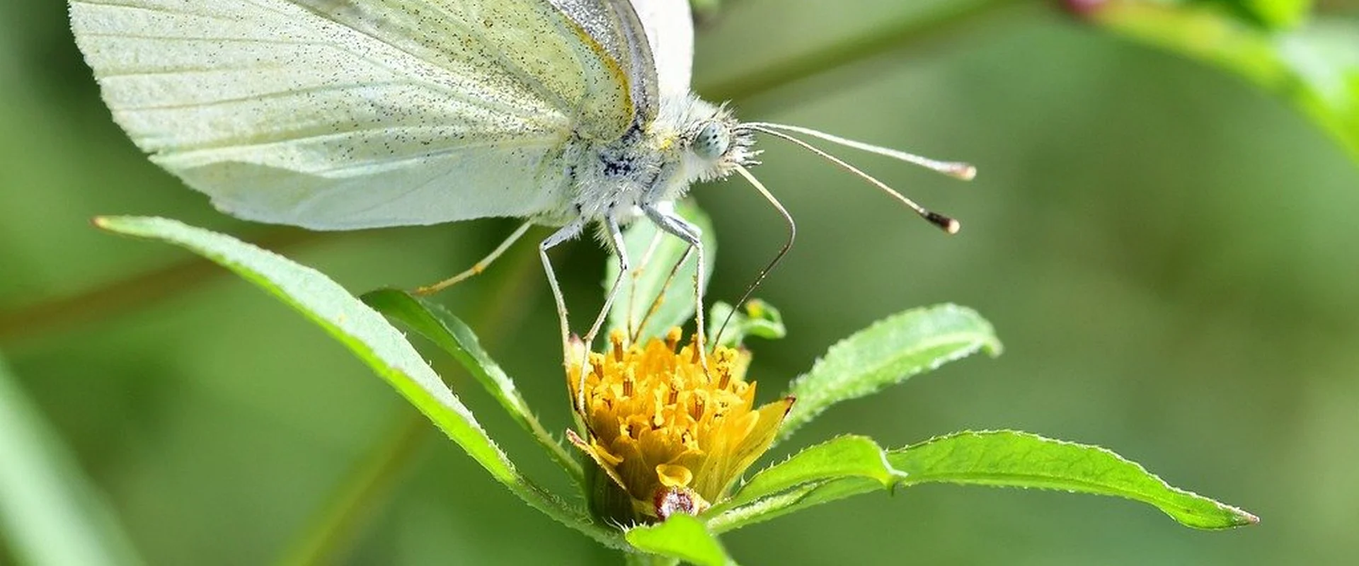 贝博体育PG电子